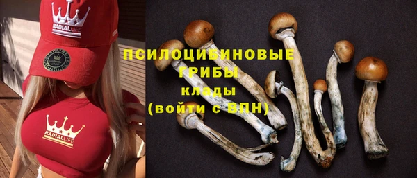 герыч Алексеевка