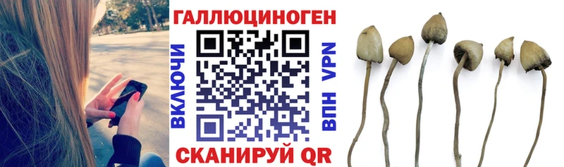 Галлюциногенные грибы MAGIC MUSHROOMS  Красноуфимск 