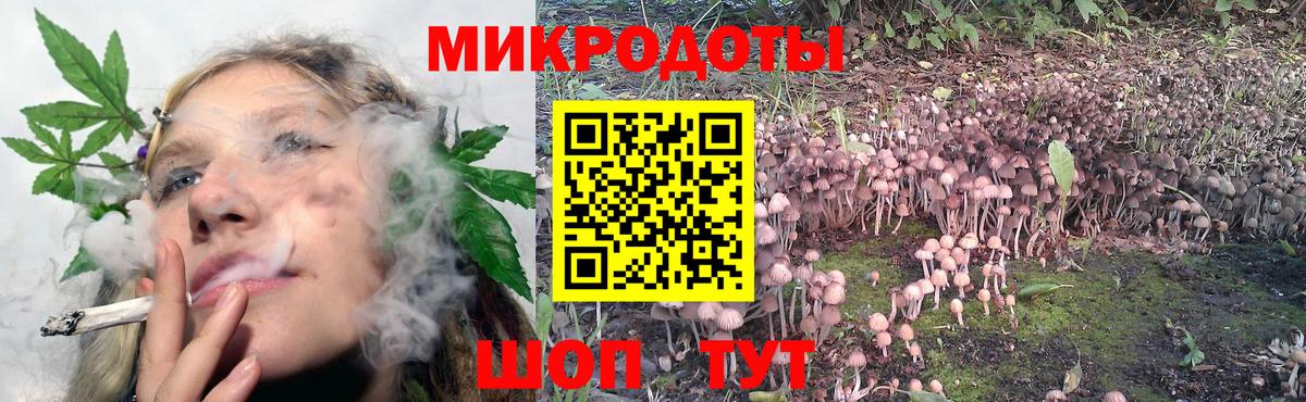 Галлюциногенные грибы Psilocybe  Вход с VPN  Красноуфимск 