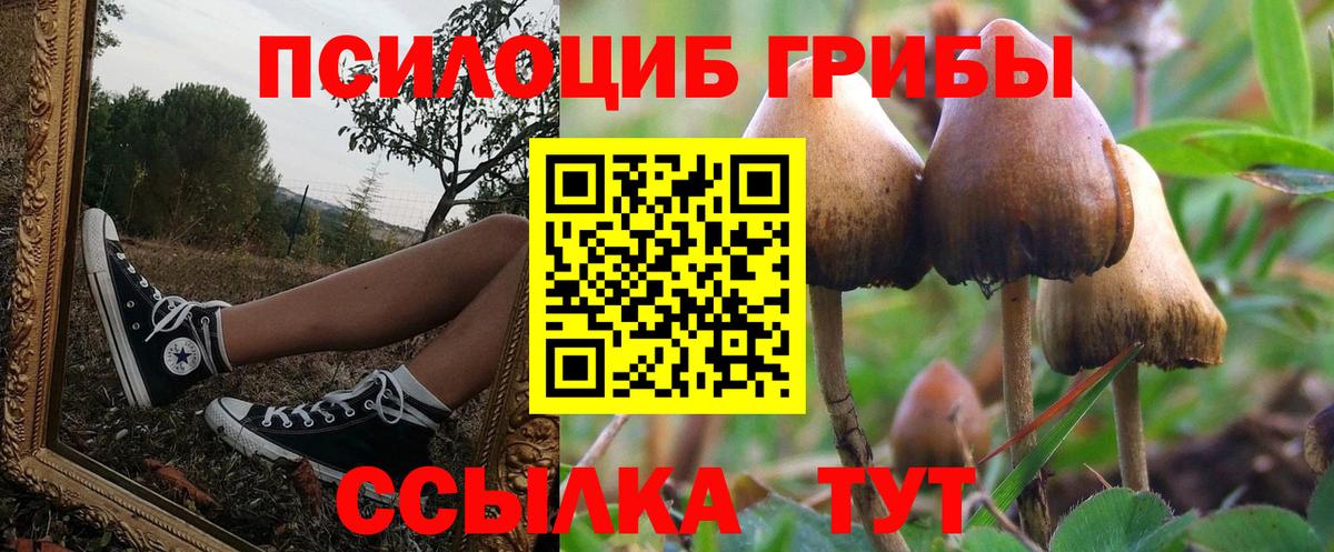 Псилоцибиновые грибы мицелий Красноуфимск